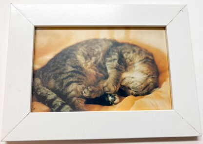  Liten träram med katt-vykort, 18,5 x 13,5 cm. 
