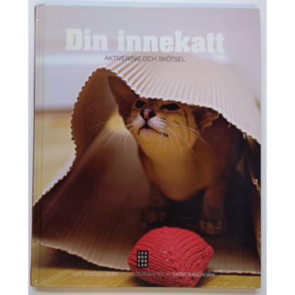 Din innekatt - aktivering och skötsel