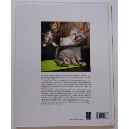 Din innekatt - aktivering och skötsel - Bild 2