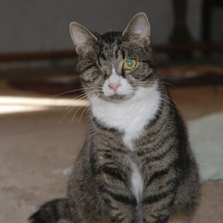 Gåva till<br>KKS Malmö/Österlen