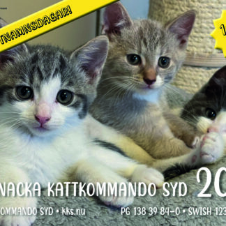 KKS almanacka 2026