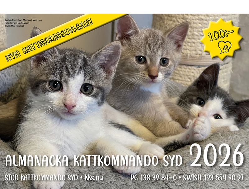 KKS Almanacka 2026
