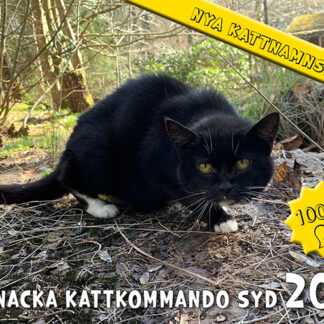 FÖRKÖP<br> KKS Almanacka 2027
